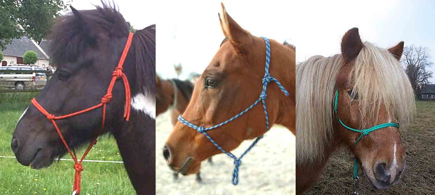 3_hoofdjes.jpg