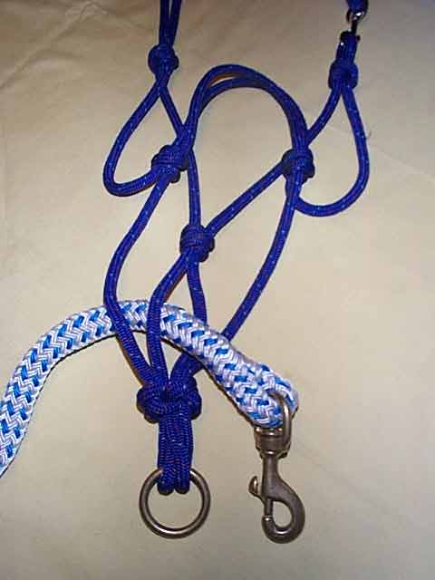 hier zie je beter hoe de leadrope loopt