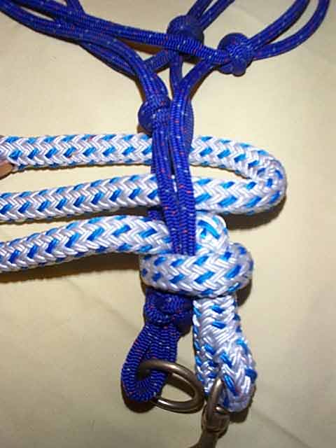 hackamore7.jpg