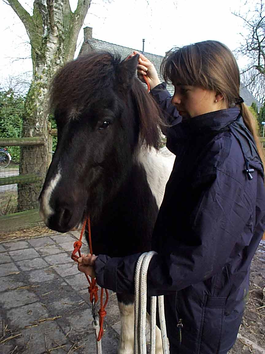 halter000.jpg