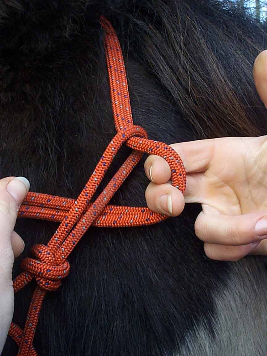 knoop01.jpg