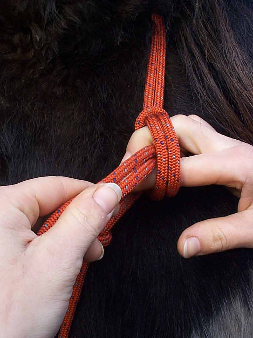 knoop1.jpg