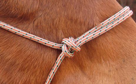 rood-groen-closeup.jpg